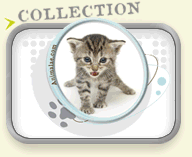 Collection Animalae Collection Animalae