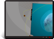 Fond d'écran Méduse dans le bleu de Ouessant