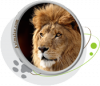 Motifs pour T-shirt - Lion