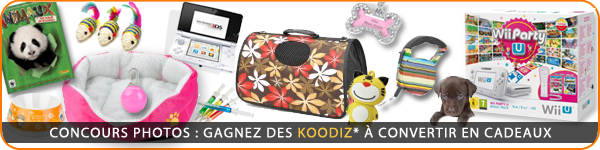Les cadeaux Animalae Les cadeaux Animalae