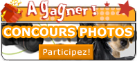 Participez au Concours Photos Animaux