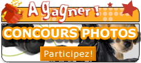 Participez au concours photos d'animaux