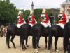 Horse guard London