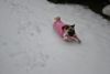 Lolita dans la neige