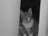 CHAT!!!