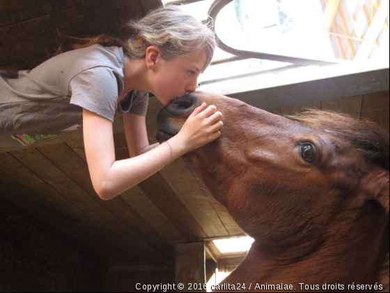 *moi et mon dada* - Photo de Chevaux