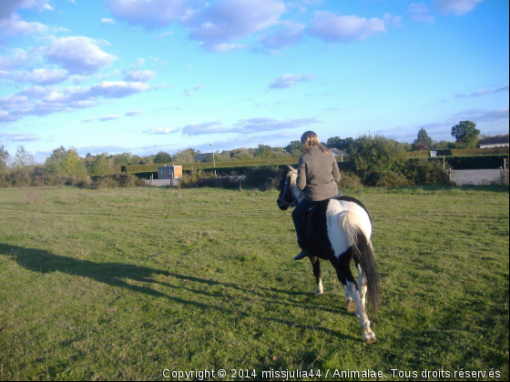 Nougat et moi - Photo de Chevaux