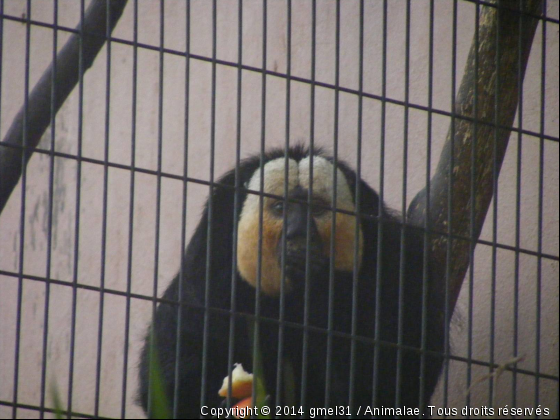 Miam - Photo de Animaux sauvages