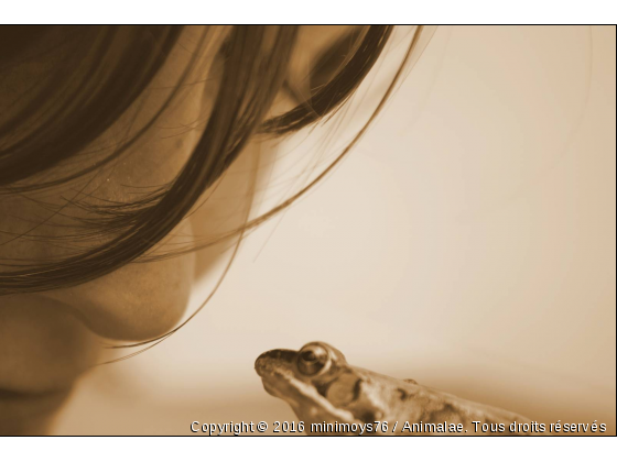 ma tite grenouille - Photo de Reptiles
