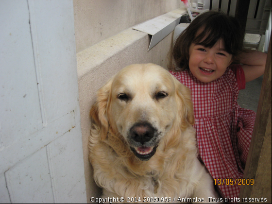 charlie - Photo de Chiens