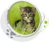 Motifs pour T-shirt - Chaton dans l'herbe Motifs pour T-shirt - Chaton dans l'herbe
